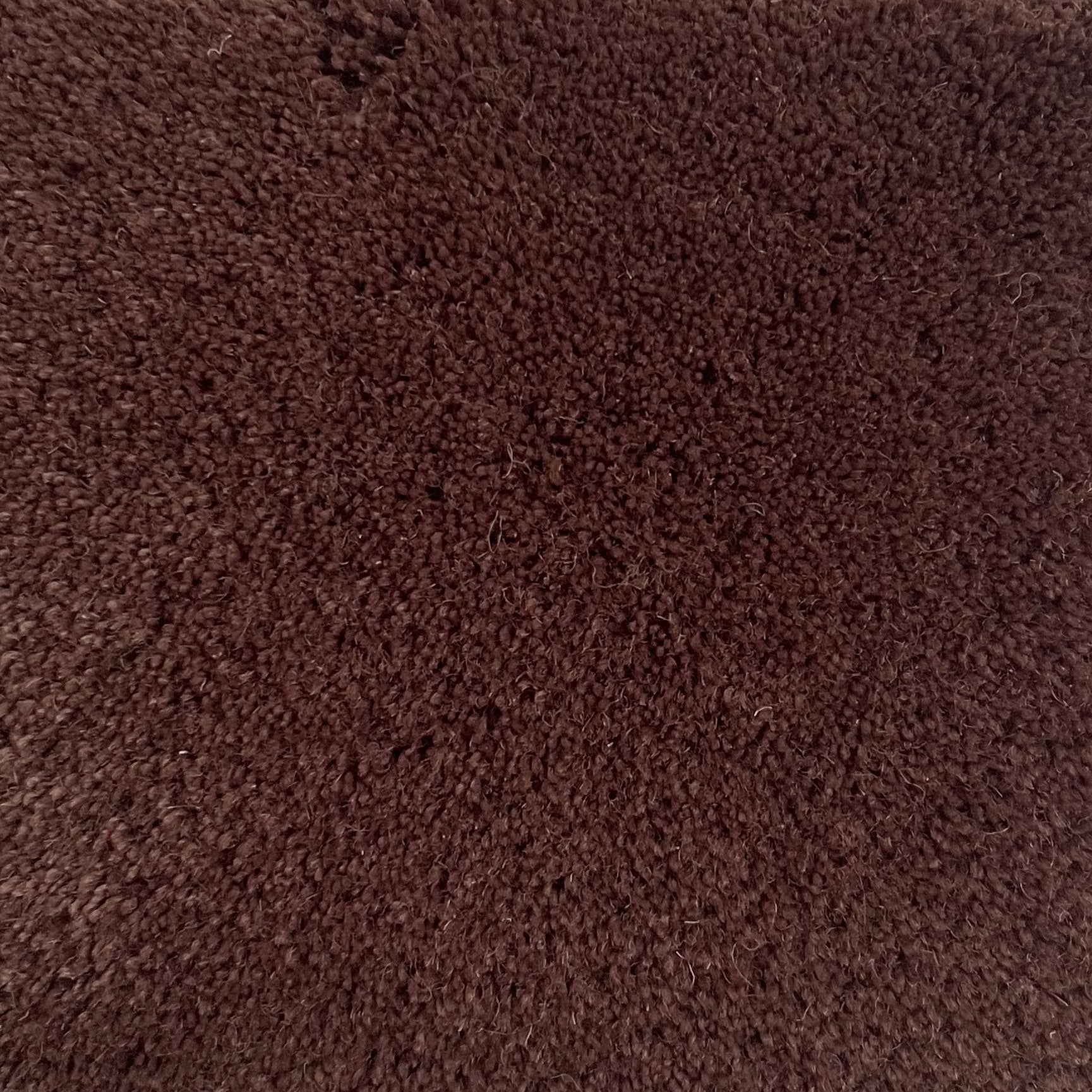 100% New Zealand Wool Rug Swatch in Taupe
